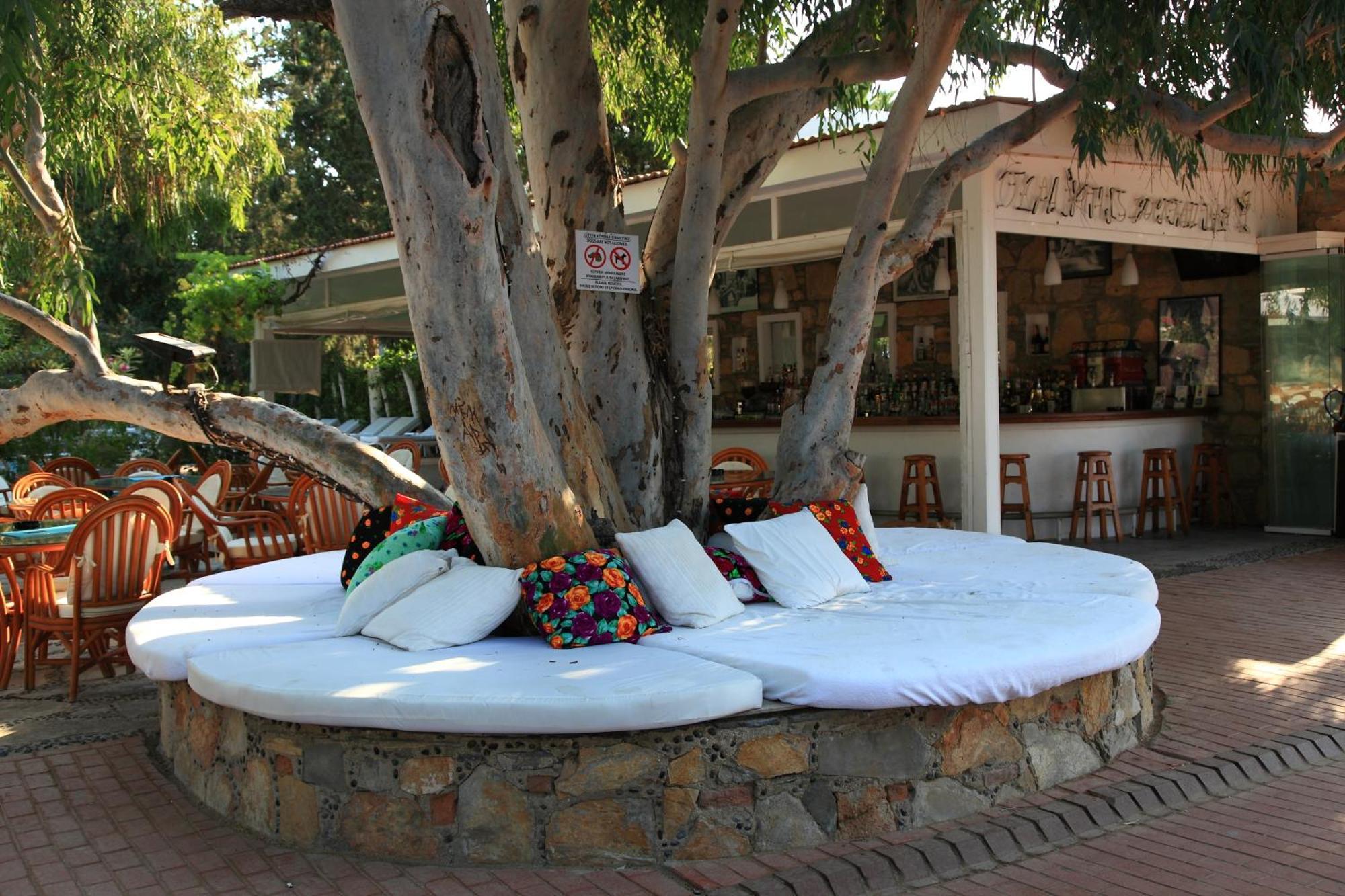 Okaliptus Otel Bitez Extérieur photo